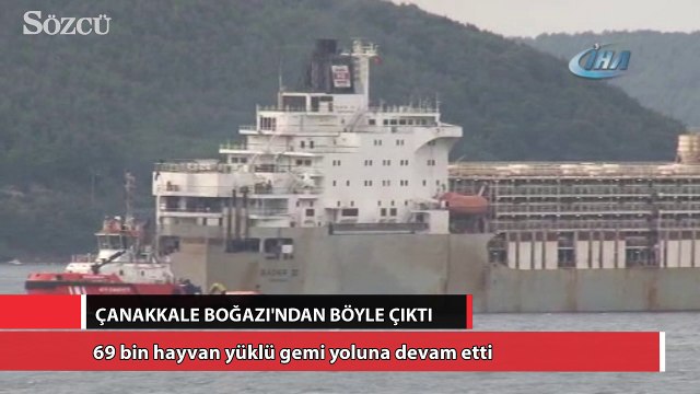 69 bin hayvan yüklü gemi yoluna devam etti