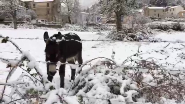 Fortes chutes de neige dans le Cortenais