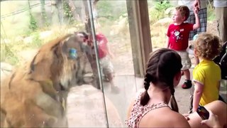 ブチ切れアニマル大集合www 動物園/水族館で襲われる？？？【ハプニング＠動物園/水族館】