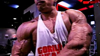 Limits of Bodybuilding- UNREAL! Iron Therapy ft. The ROCK - Motivational Video 2017