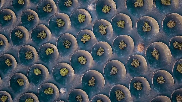 BMW - The new i8 Roadster and the new i8 Coupe