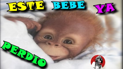 TE RETO A QUE SI TAN SOLO SONRIES PIERDES (DESAFIO IMPOSIBLE) | OSCAR JACK