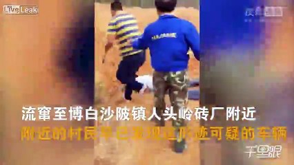 Two dog nappers are beaten