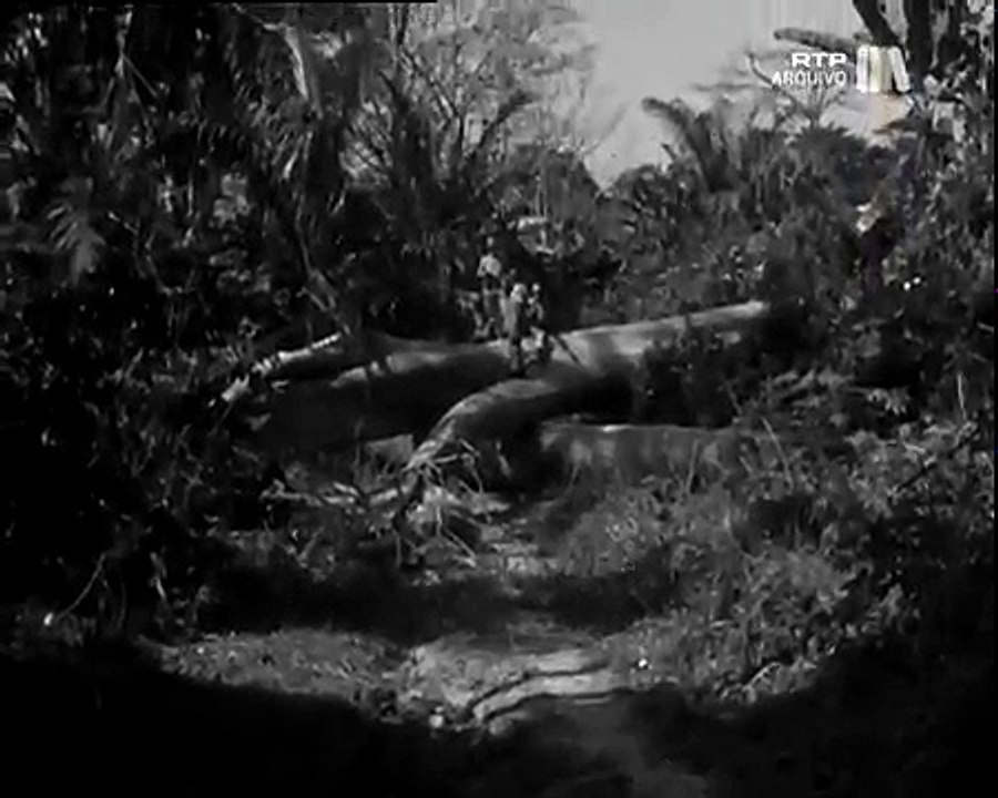 NAMBUANGONGO   A GRANDE ARRANCADA   Parte II - IMAGENS INÉDITAS NA 1ª PARTE E ll parte