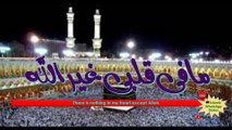 Hasbi Rabbi Jal Allah| حسبي ربي جل الله ما في قلبي غير الله|New Naat| Islamic WhatsApp Status Video