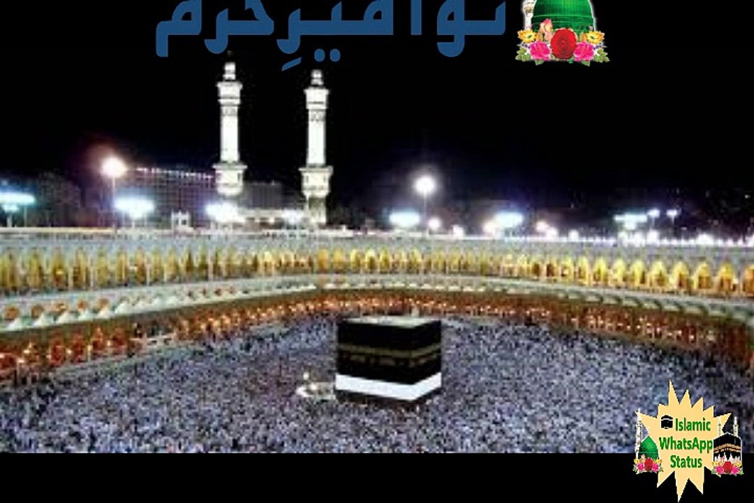 Tu Kuja Man Kuja, Shiraz Uppal & Rafaqat Ali Khan|Coke Studio|WhatsApp Status Video