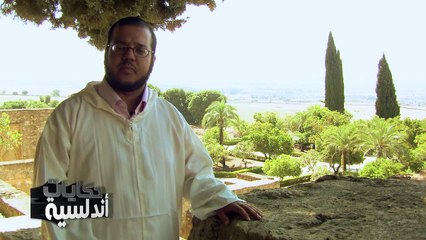 حكايات اندلسية،المنصورابن ابي عامر مؤدب اعداء الاندلس  (1)