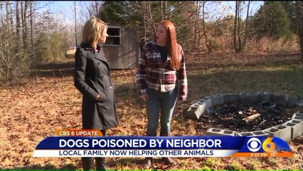 Descargar video: Family Whose Dogs were Poisoned by Neighbor Are Now Helping Other Animals