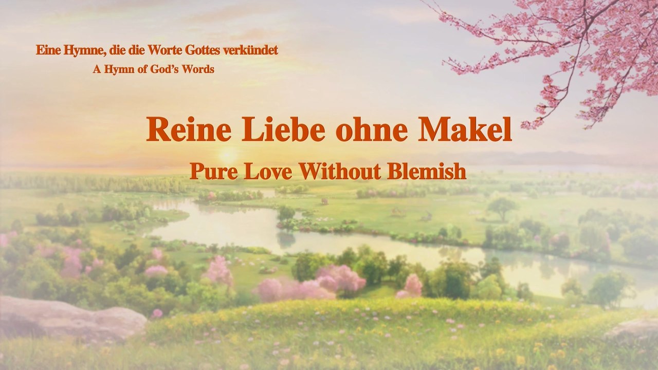Reine liebe ohne makel
