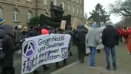 Germania: Afd, eletto un co-leader