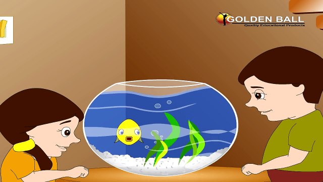 Machli Jal Ki Rani Hai - Hindi Rhymes For Babies - Hindi Balgeet For Kids, Hindi Kids Songs