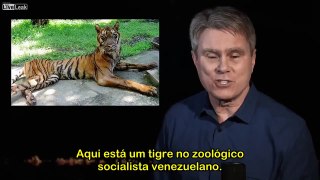 Socialism for Dummies Subtitle Portugue