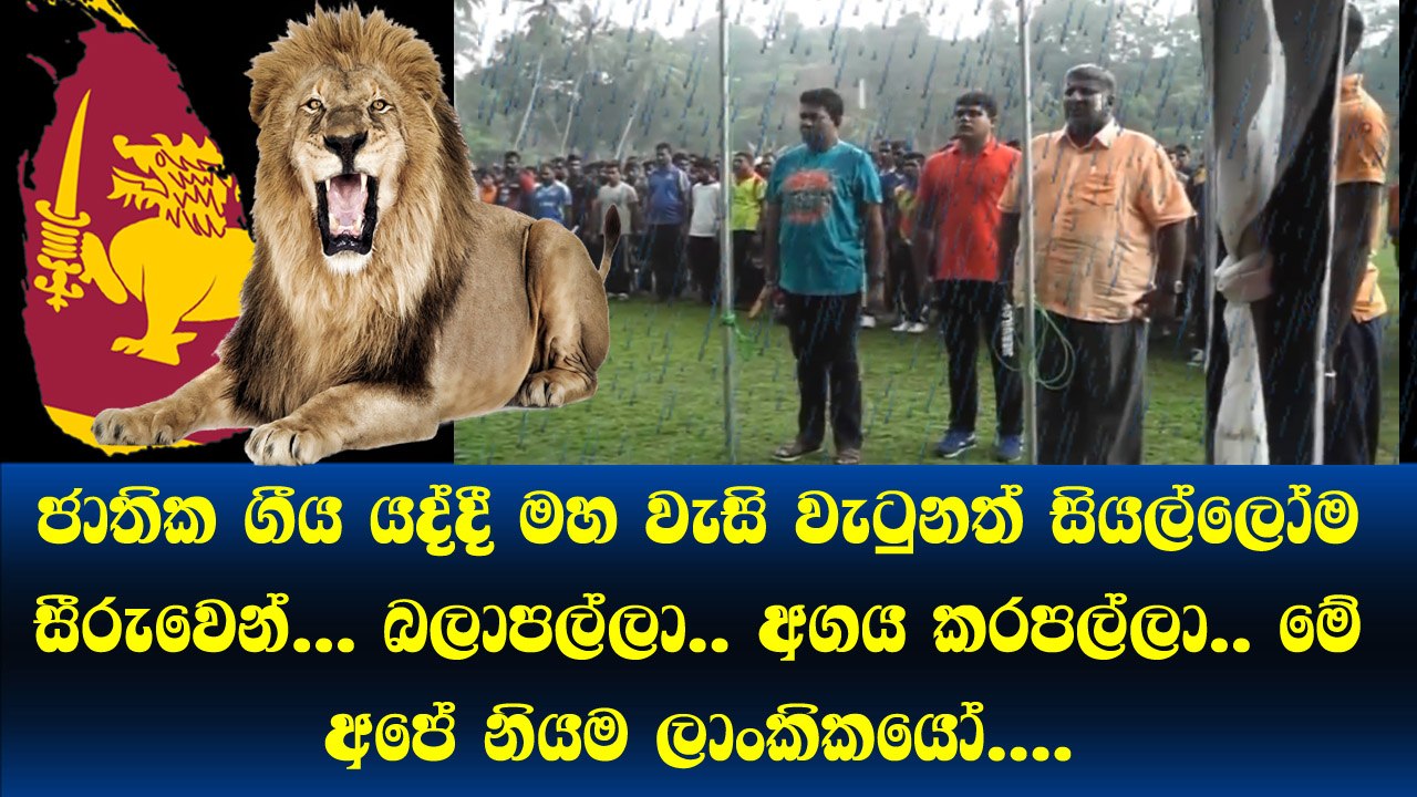 ජාතික ගීය යද්දී මහ වැසි වැටුනත් සියල්ලෝම සීරුවෙන්... බලාපල්ලා.. අගය කරපල්ලා.. මේ අපේ නියම ලාංකිකයෝ