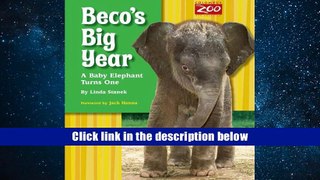 Best Ebook  Beco s Big Year: A Baby Elephant Turns One Linda Stanek  For Full
