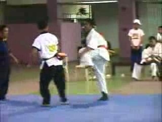 Kyokushin tournaments HL