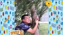 CHINESE FUNNY VIDEOS - NEW 2017-Surprise! Do not miss! Try not to laugh - laugh ha ha (12)