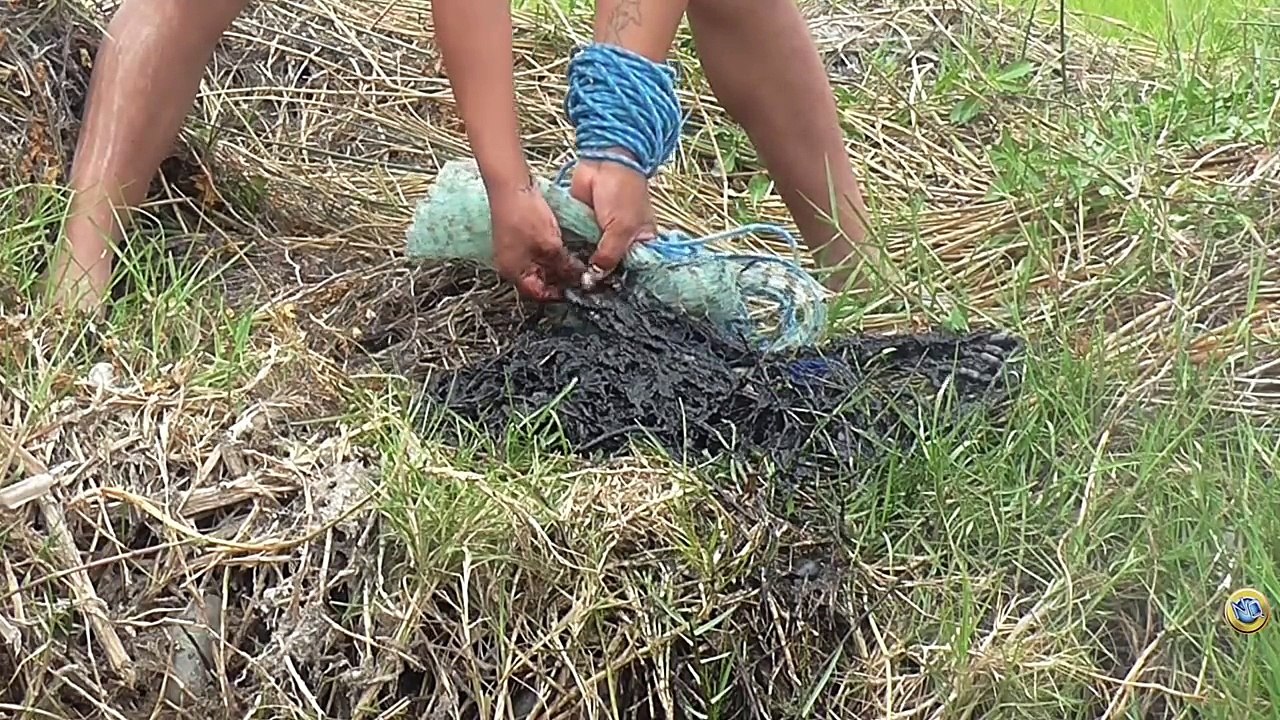 Pesca de Tilapias con Red