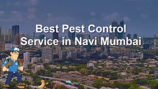 Pest control service in Navi mumbai, pest control navi mumbai, national pest control service