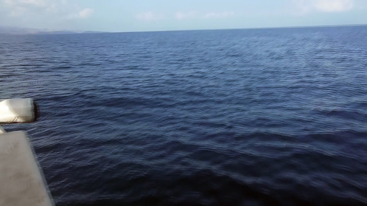 DSCF4019