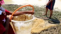 NET FISHING - Net Fishing in Siem Reap Province - Simple Fishing in my Village