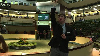 Les éleveurs de chevaux de course irlandais inquiets du Brexit