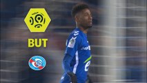 But Nuno DA COSTA (13ème) / RC Strasbourg Alsace - Paris Saint-Germain - (2-1) - (RCSA-PARIS) / 2017-18
