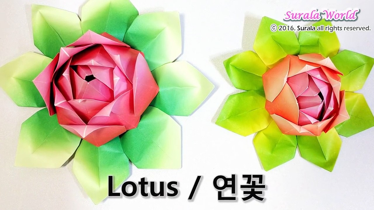Origami - Lotus (Flower)