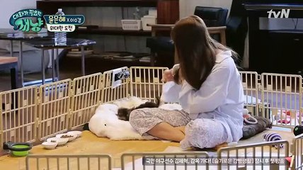 {Video cut} Yoon Eun Hye 윤은혜 - show "Dear My Human" Ep.10 (20171122)