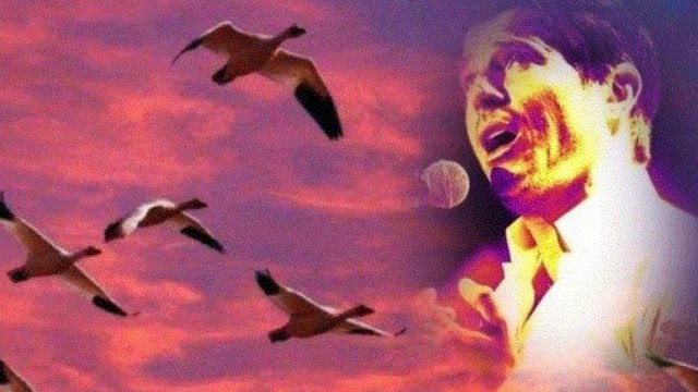 VINCENT NICLO - CANTIQUE A MARIA & AVE MARIA (Photomontages)