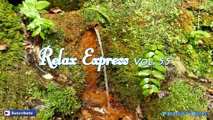 RELAX EXPRESS VOL 55, MÚSICA RELAJANTE  PARA DORMIR BEBES, NIÑOS, ESTUDIAR, TRABAJAR, SPA, YOGA