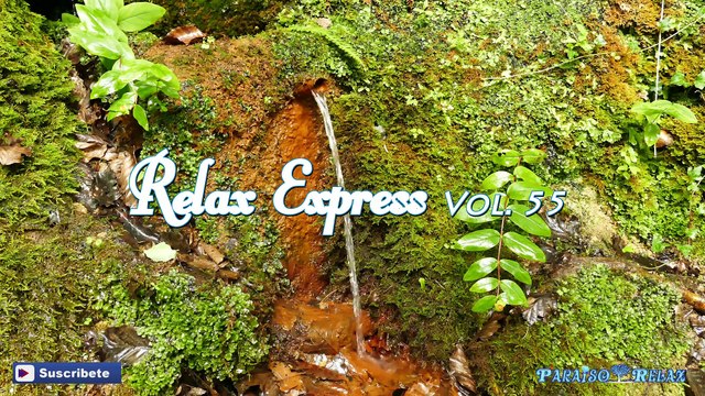 RELAX EXPRESS VOL 55, MÚSICA RELAJANTE PARA DORMIR BEBES, NIÑOS, ESTUDIAR, TRABAJAR, SPA, YOGA
