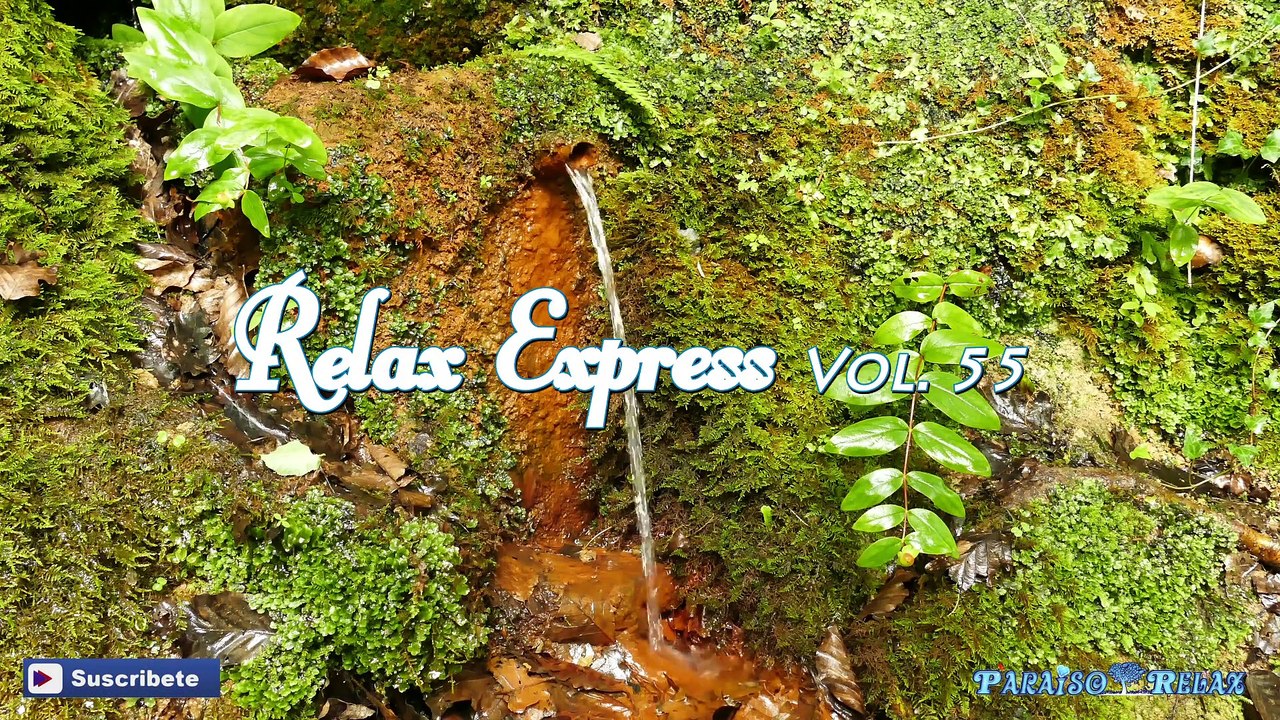 RELAX EXPRESS VOL 55, MÚSICA RELAJANTE  PARA DORMIR BEBES, NIÑOS, ESTUDIAR, TRABAJAR, SPA, YOGA