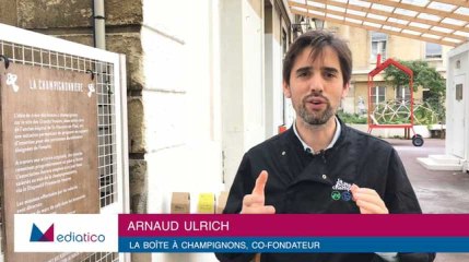 La Boîte à Champignons, la boîte qui fait pousser des pleurotes... et des emplois