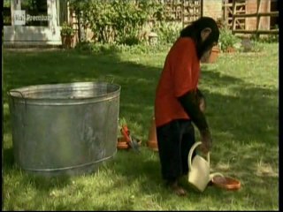 Il nostro amico Charly 14x04 -  I cucchiai del re