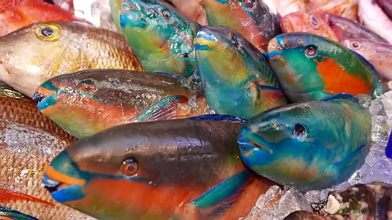Japon Sokak Lezzeti - Papağan Balığı ( Sashimi Okinawa )