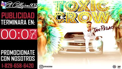 karen yapoort y tamara casi se jalan los cabellos.