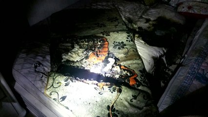 강원도 동해 아파트서 불...소방관 이웃이 진화 / YTN