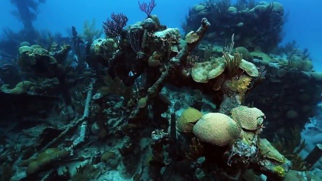 Mistérios do Triângulo das Bermudas - Documentário