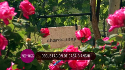 Vinos y Amigos Programa 183 Bloque 1