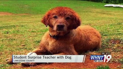 Students Surprise Teacher with Puppy After Loss of His Dog