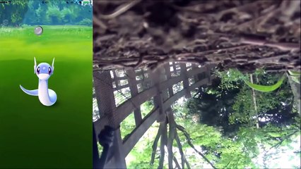 【ポケモンGO！】CP2500！！待望のカイリューを作るまで！！