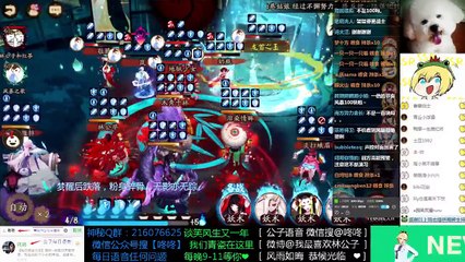 【陰陽師】当全世界都是彼岸花！就到了拼声控的时候了！龟派气功2333！！！微信+咚咚 微博@我最喜欢林公子 咚咚 201