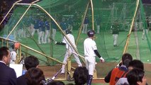 アジアプロ野球CSに行ってみた！／侍JAPANの稲葉監督、初陣前に腕組して何を思う・・／2017.11.16　日本×韓国　うそにゃん　東京ドーム
