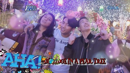 AHA!: A day-by-day breakdown on the '12 Days of Christmas' with JBK