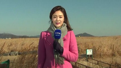 [날씨] 영흥도에 강풍...찬 바람에 체감 영하권 / YTN
