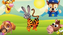 Animals Wrong Heads - animasi hewan-nhT7Mrf58PM