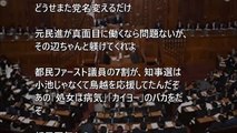 ヤバすぎる現状 都民ファーストが『世論調査で壊滅的評価を喰らい』都議選は絶望的に。民進党は既に〇〇した模様