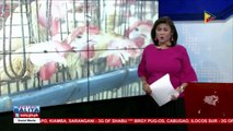 DA: Bird flu outbreak sa Cabiao, Nueva Ecija, kontrolado na