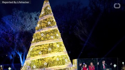 How Can A Ping Pong Ball Help Your Christmas Tree?
