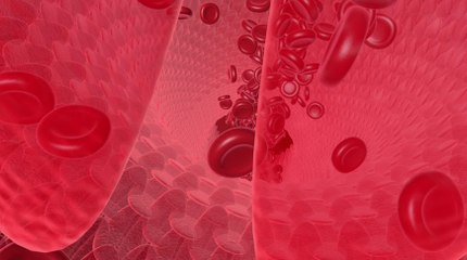 Blood Donation Infographic